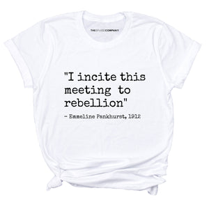 I Incite This Meeting To Rebellion Feminist T-Shirt